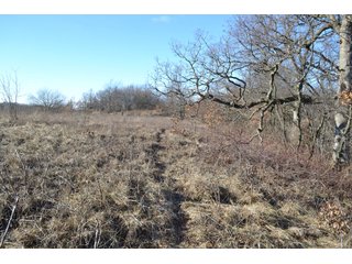 <b>This property offers productive tillable land and a CRP contract on 17.1 acres, with a high rental rate, for conservation and wildlife habitat.</b>  The wooded and grass ridge that crosses part of this property shows signs of heavy deer activity and would also be a beautiful setting for a home or cabin.  This property is in a prime deer location and do not overlook the pond stocked with bass, bluegill and catfish.  There is also a very functional 48ft x 96ft machine shed with a concrete floor and electric.  The sellers will consider divisions of the property.

<i><b>PROPERTY/LISTING DETAILS:</b></I>
<b>Possession Date:</b> At closing subject to farm tenant rights which expire January 1, 2021 
<b>Taxes:</b><i><u> 2019 Real Estate Taxes Payable 2020</u></i> - Property east of Meridian Road (2 tax ID's):  $4,879.74 - Drainage Assessments:  $888.60 - <I><u> 2019 Real Estate Taxes Payable 2020</u></i> - Property west of Meridian Road (1 tax ID):  $4,172.00 - Drainage Assessments:  $859.20
<b>Zoning:</b>  Ag
<b>Other:</b> The sellers will consider divisions of the property.
<i>Note: County tax records show 210.21 acres on the property east of Meridian Road while a 2014 survey shows 211.427 +/- acres.  County tax records show 182.251 acres on the property west of Meridian Road.  Total acres from County Tax records is 392.461.</i>
<b>School District:</b>  North Newton School Corporation    	
<b>Elec. Source:</b>  Newton County REMC
<b><i><u>FSA DATA:</u></b></i>
<b>FSA Cropland:</b>  357.53* acres of which 17.1 acres is in CRP.  <i>*Listing Company estimates approximately 2.5 acres of FSA Cropland not part of property being sold. Contact listing agents for FSA Aerial and other information.</i>
<b>Corn Base Acr.:</b>  182.5,  PLC Yield: 131     
<b>Wheat Base Acr.:</b>  4.2,  PLC Yield:  44    
<b>Soybean Base Acr:</b>  110.0,  PLC Yield:  37	         
<b>Conservation Reserve Program (CRP):</b> 17.1 acres; Annual Rental Rate Per Acre - $339.83;  Contract expires:  September 30, 2025	
<i>Buyer shall assume the existing CRP contract obligations and shall timely sign all documents required by the FSA Office in connection therewith.  Any penalty, repayment and/or interest assessed due to termination, noncompliance and/or owner-ineligibility after closing shall be the responsibility of the Buyer.</i>
<b>Improvements:</b> 48ft X 96ft Pole Building with concrete floor and 220 amp electric service.  23ft 4in wide x 14ft high door, 23ft 4in wide x 12 ft high clearance door & 15ft 3in wide x 12ft high clearance door.
<b>Owners:</b> John and Peggy Luzer - REAL ESTATE FOR SALE - 392.4+/- ACRES - CROPLAND, WOODS FOR HUNTING/RECREATIONAL, POND & POTENTIAL BUILDING SITES