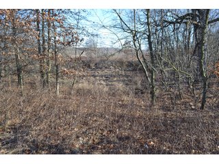 <b>This property offers productive tillable land and a CRP contract on 17.1 acres, with a high rental rate, for conservation and wildlife habitat.</b>  The wooded and grass ridge that crosses part of this property shows signs of heavy deer activity and would also be a beautiful setting for a home or cabin.  This property is in a prime deer location and do not overlook the pond stocked with bass, bluegill and catfish.  There is also a very functional 48ft x 96ft machine shed with a concrete floor and electric.  The sellers will consider divisions of the property.

<i><b>PROPERTY/LISTING DETAILS:</b></I>
<b>Possession Date:</b> At closing subject to farm tenant rights which expire January 1, 2021 
<b>Taxes:</b><i><u> 2019 Real Estate Taxes Payable 2020</u></i> - Property east of Meridian Road (2 tax ID's):  $4,879.74 - Drainage Assessments:  $888.60 - <I><u> 2019 Real Estate Taxes Payable 2020</u></i> - Property west of Meridian Road (1 tax ID):  $4,172.00 - Drainage Assessments:  $859.20
<b>Zoning:</b>  Ag
<b>Other:</b> The sellers will consider divisions of the property.
<i>Note: County tax records show 210.21 acres on the property east of Meridian Road while a 2014 survey shows 211.427 +/- acres.  County tax records show 182.251 acres on the property west of Meridian Road.  Total acres from County Tax records is 392.461.</i>
<b>School District:</b>  North Newton School Corporation    	
<b>Elec. Source:</b>  Newton County REMC
<b><i><u>FSA DATA:</u></b></i>
<b>FSA Cropland:</b>  357.53* acres of which 17.1 acres is in CRP.  <i>*Listing Company estimates approximately 2.5 acres of FSA Cropland not part of property being sold. Contact listing agents for FSA Aerial and other information.</i>
<b>Corn Base Acr.:</b>  182.5,  PLC Yield: 131     
<b>Wheat Base Acr.:</b>  4.2,  PLC Yield:  44    
<b>Soybean Base Acr:</b>  110.0,  PLC Yield:  37	         
<b>Conservation Reserve Program (CRP):</b> 17.1 acres; Annual Rental Rate Per Acre - $339.83;  Contract expires:  September 30, 2025	
<i>Buyer shall assume the existing CRP contract obligations and shall timely sign all documents required by the FSA Office in connection therewith.  Any penalty, repayment and/or interest assessed due to termination, noncompliance and/or owner-ineligibility after closing shall be the responsibility of the Buyer.</i>
<b>Improvements:</b> 48ft X 96ft Pole Building with concrete floor and 220 amp electric service.  23ft 4in wide x 14ft high door, 23ft 4in wide x 12 ft high clearance door & 15ft 3in wide x 12ft high clearance door.
<b>Owners:</b> John and Peggy Luzer - REAL ESTATE FOR SALE - 392.4+/- ACRES - CROPLAND, WOODS FOR HUNTING/RECREATIONAL, POND & POTENTIAL BUILDING SITES