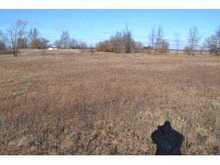 <b>This property offers productive tillable land and a CRP contract on 17.1 acres, with a high rental rate, for conservation and wildlife habitat.</b>  The wooded and grass ridge that crosses part of this property shows signs of heavy deer activity and would also be a beautiful setting for a home or cabin.  This property is in a prime deer location and do not overlook the pond stocked with bass, bluegill and catfish.  There is also a very functional 48ft x 96ft machine shed with a concrete floor and electric.  The sellers will consider divisions of the property.

<i><b>PROPERTY/LISTING DETAILS:</b></I>
<b>Possession Date:</b> At closing subject to farm tenant rights which expire January 1, 2021 
<b>Taxes:</b><i><u> 2019 Real Estate Taxes Payable 2020</u></i> - Property east of Meridian Road (2 tax ID's):  $4,879.74 - Drainage Assessments:  $888.60 - <I><u> 2019 Real Estate Taxes Payable 2020</u></i> - Property west of Meridian Road (1 tax ID):  $4,172.00 - Drainage Assessments:  $859.20
<b>Zoning:</b>  Ag
<b>Other:</b> The sellers will consider divisions of the property.
<i>Note: County tax records show 210.21 acres on the property east of Meridian Road while a 2014 survey shows 211.427 +/- acres.  County tax records show 182.251 acres on the property west of Meridian Road.  Total acres from County Tax records is 392.461.</i>
<b>School District:</b>  North Newton School Corporation    	
<b>Elec. Source:</b>  Newton County REMC
<b><i><u>FSA DATA:</u></b></i>
<b>FSA Cropland:</b>  357.53* acres of which 17.1 acres is in CRP.  <i>*Listing Company estimates approximately 2.5 acres of FSA Cropland not part of property being sold. Contact listing agents for FSA Aerial and other information.</i>
<b>Corn Base Acr.:</b>  182.5,  PLC Yield: 131     
<b>Wheat Base Acr.:</b>  4.2,  PLC Yield:  44    
<b>Soybean Base Acr:</b>  110.0,  PLC Yield:  37	         
<b>Conservation Reserve Program (CRP):</b> 17.1 acres; Annual Rental Rate Per Acre - $339.83;  Contract expires:  September 30, 2025	
<i>Buyer shall assume the existing CRP contract obligations and shall timely sign all documents required by the FSA Office in connection therewith.  Any penalty, repayment and/or interest assessed due to termination, noncompliance and/or owner-ineligibility after closing shall be the responsibility of the Buyer.</i>
<b>Improvements:</b> 48ft X 96ft Pole Building with concrete floor and 220 amp electric service.  23ft 4in wide x 14ft high door, 23ft 4in wide x 12 ft high clearance door & 15ft 3in wide x 12ft high clearance door.
<b>Owners:</b> John and Peggy Luzer - REAL ESTATE FOR SALE - 392.4+/- ACRES - CROPLAND, WOODS FOR HUNTING/RECREATIONAL, POND & POTENTIAL BUILDING SITES