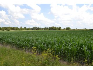 Property photo 3 - REAL ESTATE FOR SALE - 392.4+/- ACRES - CROPLAND, WOODS FOR HUNTING/RECREATIONAL, POND & POTENTIAL BUILDING SITES
