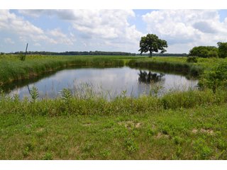 Property photo 5 - REAL ESTATE FOR SALE - 392.4+/- ACRES - CROPLAND, WOODS FOR HUNTING/RECREATIONAL, POND & POTENTIAL BUILDING SITES