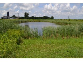 Property photo 8 - REAL ESTATE FOR SALE - 392.4+/- ACRES - CROPLAND, WOODS FOR HUNTING/RECREATIONAL, POND & POTENTIAL BUILDING SITES