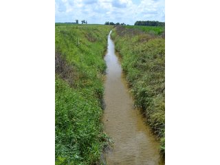Property photo 9 - REAL ESTATE FOR SALE - 392.4+/- ACRES - CROPLAND, WOODS FOR HUNTING/RECREATIONAL, POND & POTENTIAL BUILDING SITES