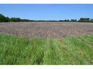 <b><li>Vacant Land on U.S 41, Lake Village, IN 46349</li>
<li>Nearly all tillable</li>
<li>Investigate for potential building site</li>
<li>Possibility of improving wildlife habitat for hunting or recreational use</li>

This property offers productive soils and is nearly all tillable.  It is located on U.S. 41 and just a 4 1/4 mile drive to the Illinois-Indiana state line.  Investigate potential for a building site with U.S. 41 frontage.  This property also presents an excellent opportunity to enhance wildlife habitat for hunting or recreational use while still providing crop income.</b>

<b>Possession Date:</b>  at closing subject to farm tenant rights which expire 12/31/2020. 	
<b>2019 Real Estate Taxes Payable 2020:</b> $1,607.62
<b>Drainage Assessments:</b> $120.96  Beaver Lake Gregory & Mudd Lawler Ditch
<b>Zoning:</b> Ag
<b>School District:</b> North Newton School Corporation
<b>Elec. Source:</b> Nipsco
<b>Legal Description:</b> Lots 4, 5 & 6 in Pon & Cos U.S. 41 Farms, a subdivision of the fractional east half of Section 4, T30N, R9W
<b>FSA DATA:</b> Cropland:  60.46 Acres / Corn Base Acres:  60.46 - LAND FOR SALE - NEWTON COUNTY - 60.48+/- ACRES OF VACANT LAND ON U.S. 41, LAKE VILLAGE, IN 46349 
