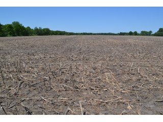 <b><li>Vacant Land on U.S 41, Lake Village, IN 46349</li>
<li>Nearly all tillable</li>
<li>Investigate for potential building site</li>
<li>Possibility of improving wildlife habitat for hunting or recreational use</li>

This property offers productive soils and is nearly all tillable.  It is located on U.S. 41 and just a 4 1/4 mile drive to the Illinois-Indiana state line.  Investigate potential for a building site with U.S. 41 frontage.  This property also presents an excellent opportunity to enhance wildlife habitat for hunting or recreational use while still providing crop income.</b>

<b>Possession Date:</b>  at closing subject to farm tenant rights which expire 12/31/2020. 	
<b>2019 Real Estate Taxes Payable 2020:</b> $1,607.62
<b>Drainage Assessments:</b> $120.96  Beaver Lake Gregory & Mudd Lawler Ditch
<b>Zoning:</b> Ag
<b>School District:</b> North Newton School Corporation
<b>Elec. Source:</b> Nipsco
<b>Legal Description:</b> Lots 4, 5 & 6 in Pon & Cos U.S. 41 Farms, a subdivision of the fractional east half of Section 4, T30N, R9W
<b>FSA DATA:</b> Cropland:  60.46 Acres / Corn Base Acres:  60.46 - LAND FOR SALE - NEWTON COUNTY - 60.48+/- ACRES OF VACANT LAND ON U.S. 41, LAKE VILLAGE, IN 46349 