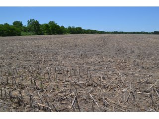 <b><li>Vacant Land on U.S 41, Lake Village, IN 46349</li>
<li>Nearly all tillable</li>
<li>Investigate for potential building site</li>
<li>Possibility of improving wildlife habitat for hunting or recreational use</li>

This property offers productive soils and is nearly all tillable.  It is located on U.S. 41 and just a 4 1/4 mile drive to the Illinois-Indiana state line.  Investigate potential for a building site with U.S. 41 frontage.  This property also presents an excellent opportunity to enhance wildlife habitat for hunting or recreational use while still providing crop income.</b>

<b>Possession Date:</b>  at closing subject to farm tenant rights which expire 12/31/2020. 	
<b>2019 Real Estate Taxes Payable 2020:</b> $1,607.62
<b>Drainage Assessments:</b> $120.96  Beaver Lake Gregory & Mudd Lawler Ditch
<b>Zoning:</b> Ag
<b>School District:</b> North Newton School Corporation
<b>Elec. Source:</b> Nipsco
<b>Legal Description:</b> Lots 4, 5 & 6 in Pon & Cos U.S. 41 Farms, a subdivision of the fractional east half of Section 4, T30N, R9W
<b>FSA DATA:</b> Cropland:  60.46 Acres / Corn Base Acres:  60.46 - LAND FOR SALE - NEWTON COUNTY - 60.48+/- ACRES OF VACANT LAND ON U.S. 41, LAKE VILLAGE, IN 46349 