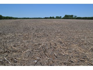 <b><li>Vacant Land on U.S 41, Lake Village, IN 46349</li>
<li>Nearly all tillable</li>
<li>Investigate for potential building site</li>
<li>Possibility of improving wildlife habitat for hunting or recreational use</li>

This property offers productive soils and is nearly all tillable.  It is located on U.S. 41 and just a 4 1/4 mile drive to the Illinois-Indiana state line.  Investigate potential for a building site with U.S. 41 frontage.  This property also presents an excellent opportunity to enhance wildlife habitat for hunting or recreational use while still providing crop income.</b>

<b>Possession Date:</b>  at closing subject to farm tenant rights which expire 12/31/2020. 	
<b>2019 Real Estate Taxes Payable 2020:</b> $1,607.62
<b>Drainage Assessments:</b> $120.96  Beaver Lake Gregory & Mudd Lawler Ditch
<b>Zoning:</b> Ag
<b>School District:</b> North Newton School Corporation
<b>Elec. Source:</b> Nipsco
<b>Legal Description:</b> Lots 4, 5 & 6 in Pon & Cos U.S. 41 Farms, a subdivision of the fractional east half of Section 4, T30N, R9W
<b>FSA DATA:</b> Cropland:  60.46 Acres / Corn Base Acres:  60.46 - LAND FOR SALE - NEWTON COUNTY - 60.48+/- ACRES OF VACANT LAND ON U.S. 41, LAKE VILLAGE, IN 46349 