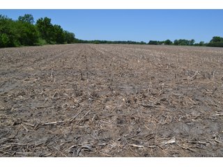 <b><li>Vacant Land on U.S 41, Lake Village, IN 46349</li>
<li>Nearly all tillable</li>
<li>Investigate for potential building site</li>
<li>Possibility of improving wildlife habitat for hunting or recreational use</li>

This property offers productive soils and is nearly all tillable.  It is located on U.S. 41 and just a 4 1/4 mile drive to the Illinois-Indiana state line.  Investigate potential for a building site with U.S. 41 frontage.  This property also presents an excellent opportunity to enhance wildlife habitat for hunting or recreational use while still providing crop income.</b>

<b>Possession Date:</b>  at closing subject to farm tenant rights which expire 12/31/2020. 	
<b>2019 Real Estate Taxes Payable 2020:</b> $1,607.62
<b>Drainage Assessments:</b> $120.96  Beaver Lake Gregory & Mudd Lawler Ditch
<b>Zoning:</b> Ag
<b>School District:</b> North Newton School Corporation
<b>Elec. Source:</b> Nipsco
<b>Legal Description:</b> Lots 4, 5 & 6 in Pon & Cos U.S. 41 Farms, a subdivision of the fractional east half of Section 4, T30N, R9W
<b>FSA DATA:</b> Cropland:  60.46 Acres / Corn Base Acres:  60.46 - LAND FOR SALE - NEWTON COUNTY - 60.48+/- ACRES OF VACANT LAND ON U.S. 41, LAKE VILLAGE, IN 46349 