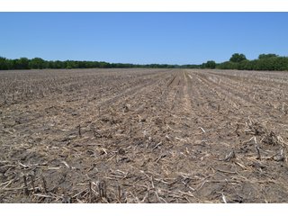 <b><li>Vacant Land on U.S 41, Lake Village, IN 46349</li>
<li>Nearly all tillable</li>
<li>Investigate for potential building site</li>
<li>Possibility of improving wildlife habitat for hunting or recreational use</li>

This property offers productive soils and is nearly all tillable.  It is located on U.S. 41 and just a 4 1/4 mile drive to the Illinois-Indiana state line.  Investigate potential for a building site with U.S. 41 frontage.  This property also presents an excellent opportunity to enhance wildlife habitat for hunting or recreational use while still providing crop income.</b>

<b>Possession Date:</b>  at closing subject to farm tenant rights which expire 12/31/2020. 	
<b>2019 Real Estate Taxes Payable 2020:</b> $1,607.62
<b>Drainage Assessments:</b> $120.96  Beaver Lake Gregory & Mudd Lawler Ditch
<b>Zoning:</b> Ag
<b>School District:</b> North Newton School Corporation
<b>Elec. Source:</b> Nipsco
<b>Legal Description:</b> Lots 4, 5 & 6 in Pon & Cos U.S. 41 Farms, a subdivision of the fractional east half of Section 4, T30N, R9W
<b>FSA DATA:</b> Cropland:  60.46 Acres / Corn Base Acres:  60.46 - LAND FOR SALE - NEWTON COUNTY - 60.48+/- ACRES OF VACANT LAND ON U.S. 41, LAKE VILLAGE, IN 46349 