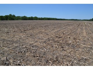 <b><li>Vacant Land on U.S 41, Lake Village, IN 46349</li>
<li>Nearly all tillable</li>
<li>Investigate for potential building site</li>
<li>Possibility of improving wildlife habitat for hunting or recreational use</li>

This property offers productive soils and is nearly all tillable.  It is located on U.S. 41 and just a 4 1/4 mile drive to the Illinois-Indiana state line.  Investigate potential for a building site with U.S. 41 frontage.  This property also presents an excellent opportunity to enhance wildlife habitat for hunting or recreational use while still providing crop income.</b>

<b>Possession Date:</b>  at closing subject to farm tenant rights which expire 12/31/2020. 	
<b>2019 Real Estate Taxes Payable 2020:</b> $1,607.62
<b>Drainage Assessments:</b> $120.96  Beaver Lake Gregory & Mudd Lawler Ditch
<b>Zoning:</b> Ag
<b>School District:</b> North Newton School Corporation
<b>Elec. Source:</b> Nipsco
<b>Legal Description:</b> Lots 4, 5 & 6 in Pon & Cos U.S. 41 Farms, a subdivision of the fractional east half of Section 4, T30N, R9W
<b>FSA DATA:</b> Cropland:  60.46 Acres / Corn Base Acres:  60.46 - LAND FOR SALE - NEWTON COUNTY - 60.48+/- ACRES OF VACANT LAND ON U.S. 41, LAKE VILLAGE, IN 46349 