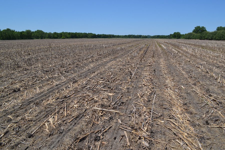 For sale: LAND FOR SALE - NEWTON COUNTY - 60.48+/- ACRES OF VACANT LAND ON U.S. 41, LAKE VILLAGE, IN 46349 