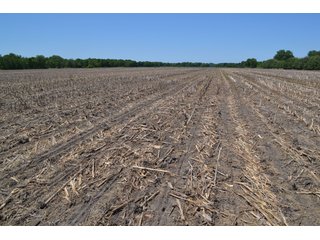 <b><li>Vacant Land on U.S 41, Lake Village, IN 46349</li>
<li>Nearly all tillable</li>
<li>Investigate for potential building site</li>
<li>Possibility of improving wildlife habitat for hunting or recreational use</li>

This property offers productive soils and is nearly all tillable.  It is located on U.S. 41 and just a 4 1/4 mile drive to the Illinois-Indiana state line.  Investigate potential for a building site with U.S. 41 frontage.  This property also presents an excellent opportunity to enhance wildlife habitat for hunting or recreational use while still providing crop income.</b>

<b>Possession Date:</b>  at closing subject to farm tenant rights which expire 12/31/2020. 	
<b>2019 Real Estate Taxes Payable 2020:</b> $1,607.62
<b>Drainage Assessments:</b> $120.96  Beaver Lake Gregory & Mudd Lawler Ditch
<b>Zoning:</b> Ag
<b>School District:</b> North Newton School Corporation
<b>Elec. Source:</b> Nipsco
<b>Legal Description:</b> Lots 4, 5 & 6 in Pon & Cos U.S. 41 Farms, a subdivision of the fractional east half of Section 4, T30N, R9W
<b>FSA DATA:</b> Cropland:  60.46 Acres / Corn Base Acres:  60.46 - LAND FOR SALE - NEWTON COUNTY - 60.48+/- ACRES OF VACANT LAND ON U.S. 41, LAKE VILLAGE, IN 46349 