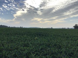 <b><I>OFFER PENDING</b></I>

<li>Total Acres:  21.5+/-
<li>Tillable Acres:  15+/-
<li>Wooded Acres:  6.5+/-
<li>County:  Whitley
<li>Zoning: Agriculture - LAND FOR SALE - 21.5 ACRES (OFFER PENDING) - WHITLEY COUNTY - GREAT HOMESITE POTENTIAL