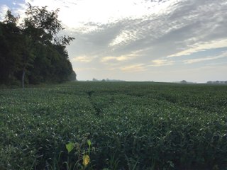 <b><I>OFFER PENDING</b></I>

<li>Total Acres:  21.5+/-
<li>Tillable Acres:  15+/-
<li>Wooded Acres:  6.5+/-
<li>County:  Whitley
<li>Zoning: Agriculture - LAND FOR SALE - 21.5 ACRES (OFFER PENDING) - WHITLEY COUNTY - GREAT HOMESITE POTENTIAL