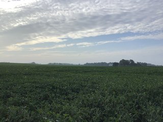 <b><I>OFFER PENDING</b></I>

<li>Total Acres:  21.5+/-
<li>Tillable Acres:  15+/-
<li>Wooded Acres:  6.5+/-
<li>County:  Whitley
<li>Zoning: Agriculture - LAND FOR SALE - 21.5 ACRES (OFFER PENDING) - WHITLEY COUNTY - GREAT HOMESITE POTENTIAL