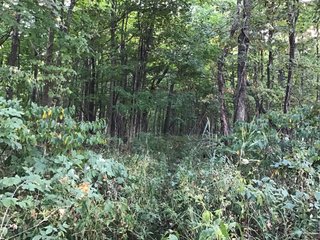 <b><I>OFFER PENDING</b></I>

<li>Total Acres:  21.5+/-
<li>Tillable Acres:  15+/-
<li>Wooded Acres:  6.5+/-
<li>County:  Whitley
<li>Zoning: Agriculture - LAND FOR SALE - 21.5 ACRES (OFFER PENDING) - WHITLEY COUNTY - GREAT HOMESITE POTENTIAL