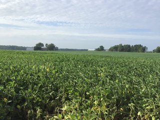 <b><I>OFFER PENDING</b></I>

<li>Total Acres:  21.5+/-
<li>Tillable Acres:  15+/-
<li>Wooded Acres:  6.5+/-
<li>County:  Whitley
<li>Zoning: Agriculture - LAND FOR SALE - 21.5 ACRES (OFFER PENDING) - WHITLEY COUNTY - GREAT HOMESITE POTENTIAL