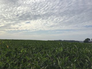 <b><I>OFFER PENDING</b></I>

<li>Total Acres:  21.5+/-
<li>Tillable Acres:  15+/-
<li>Wooded Acres:  6.5+/-
<li>County:  Whitley
<li>Zoning: Agriculture - LAND FOR SALE - 21.5 ACRES (OFFER PENDING) - WHITLEY COUNTY - GREAT HOMESITE POTENTIAL