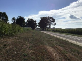 <b><I>OFFER PENDING</b></I>

<li>Total Acres:  21.5+/-
<li>Tillable Acres:  15+/-
<li>Wooded Acres:  6.5+/-
<li>County:  Whitley
<li>Zoning: Agriculture - LAND FOR SALE - 21.5 ACRES (OFFER PENDING) - WHITLEY COUNTY - GREAT HOMESITE POTENTIAL