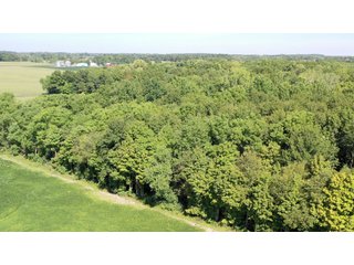 Property photo 2 - LAND FOR SALE - 21.5 ACRES (OFFER PENDING) - WHITLEY COUNTY - GREAT HOMESITE POTENTIAL
