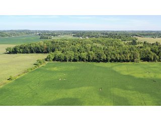 <b><I>OFFER PENDING</b></I>

<li>Total Acres:  21.5+/-
<li>Tillable Acres:  15+/-
<li>Wooded Acres:  6.5+/-
<li>County:  Whitley
<li>Zoning: Agriculture - LAND FOR SALE - 21.5 ACRES (OFFER PENDING) - WHITLEY COUNTY - GREAT HOMESITE POTENTIAL