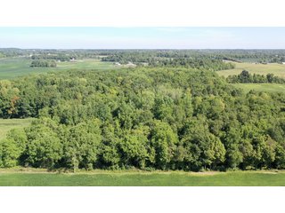 <b><I>OFFER PENDING</b></I>

<li>Total Acres:  21.5+/-
<li>Tillable Acres:  15+/-
<li>Wooded Acres:  6.5+/-
<li>County:  Whitley
<li>Zoning: Agriculture - LAND FOR SALE - 21.5 ACRES (OFFER PENDING) - WHITLEY COUNTY - GREAT HOMESITE POTENTIAL