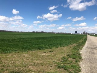 <li>All Tillable Land with Brookston Silty Clay Loam & Crosby Silt Loam Soils
<li>Topography: Gently Rolling
<li> Taxes: 2019 R.E. Taxes Due in 2020: $2,228.00 per year - LAND FOR SALE IN MADISON COUNTY, INDIANA - 65 ACRES