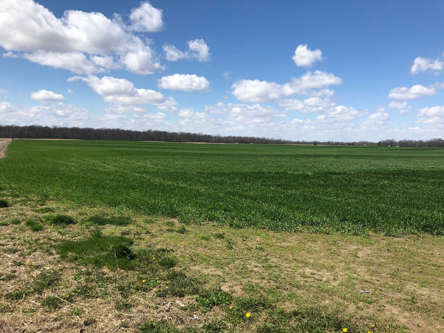 For sale: LAND FOR SALE IN MADISON COUNTY, INDIANA - 65 ACRES - Elwood, IN