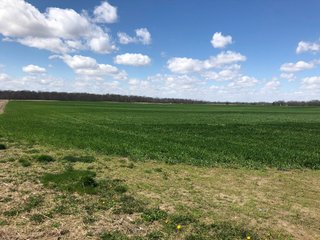 <li>All Tillable Land with Brookston Silty Clay Loam & Crosby Silt Loam Soils
<li>Topography: Gently Rolling
<li> Taxes: 2019 R.E. Taxes Due in 2020: $2,228.00 per year - LAND FOR SALE IN MADISON COUNTY, INDIANA - 65 ACRES