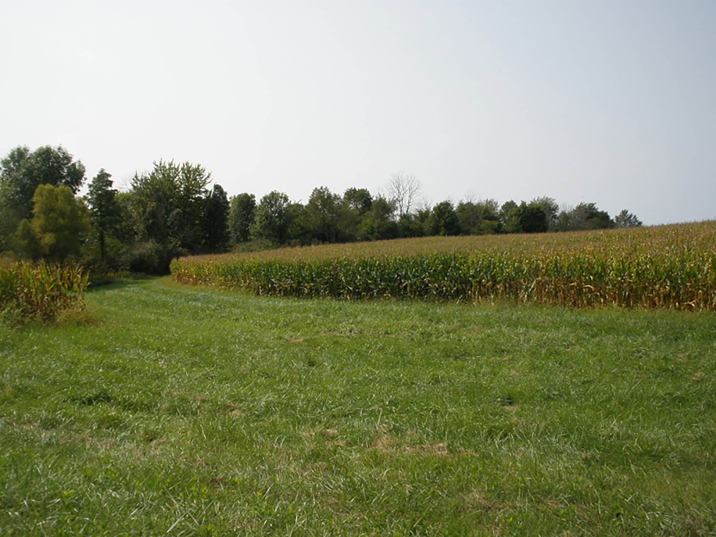 <li>Quiet Rural Location Near Wayne County Line
<li>All Cropland
<li>Established Waterway
<li>Good Ease of Operation
<li>Good Frontage on Co. Rd. 950E
<li>Estimated Taxes: $904/year in 2020
<li>Soil Index 136 Bu. - REAL ESTATE FOR SALE - CROPLAND - 39 TOTAL ACRES - HENRY COUNTY, IN - GREAT LOCATION BETWEEN LOSANTVILLE AND MOORELAND, IN