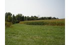<li>Quiet Rural Location Near Wayne County Line
<li>All Cropland
<li>Established Waterway
<li>Good Ease of Operation
<li>Good Frontage on Co. Rd. 950E
<li>Estimated Taxes: $904/year in 2020
<li>Soil Index 136 Bu. - REAL ESTATE FOR SALE - CROPLAND - 39 TOTAL ACRES - HENRY COUNTY, IN - GREAT LOCATION BETWEEN LOSANTVILLE AND MOORELAND, IN