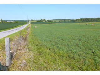 Farmland in Jay County, Indiana - REAL ESTATE AUCTION - 447+/- ACRES OFFERED IN 12 TRACTS & COMBINATIONS IN JAY COUNTY, INDIANA
