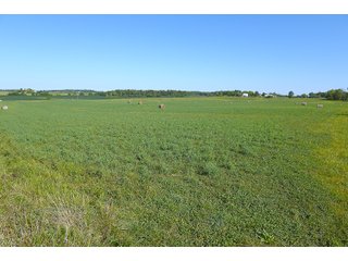 Farmland in Jay County, Indiana - REAL ESTATE AUCTION - 447+/- ACRES OFFERED IN 12 TRACTS & COMBINATIONS IN JAY COUNTY, INDIANA
