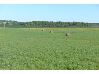 Farmland in Jay County, Indiana - REAL ESTATE AUCTION - 447+/- ACRES OFFERED IN 12 TRACTS & COMBINATIONS IN JAY COUNTY, INDIANA
