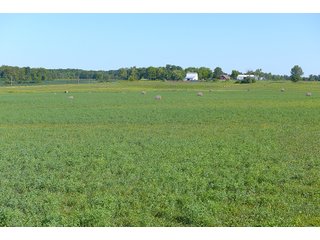 Farmland in Jay County, Indiana - REAL ESTATE AUCTION - 447+/- ACRES OFFERED IN 12 TRACTS & COMBINATIONS IN JAY COUNTY, INDIANA