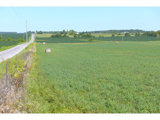 Farmland in Jay County, Indiana - REAL ESTATE AUCTION - 447+/- ACRES OFFERED IN 12 TRACTS & COMBINATIONS IN JAY COUNTY, INDIANA