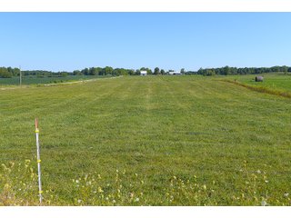 Farmland in Jay County, Indiana - REAL ESTATE AUCTION - 447+/- ACRES OFFERED IN 12 TRACTS & COMBINATIONS IN JAY COUNTY, INDIANA