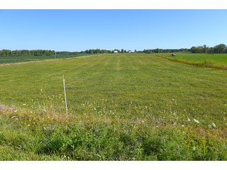 Farmland in Jay County, Indiana - REAL ESTATE AUCTION - 447+/- ACRES OFFERED IN 12 TRACTS & COMBINATIONS IN JAY COUNTY, INDIANA