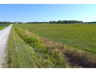 Farmland in Jay County, Indiana - REAL ESTATE AUCTION - 447+/- ACRES OFFERED IN 12 TRACTS & COMBINATIONS IN JAY COUNTY, INDIANA