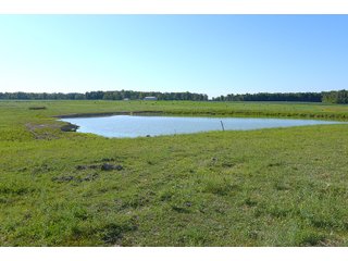 Farmland in Jay County, Indiana - REAL ESTATE AUCTION - 447+/- ACRES OFFERED IN 12 TRACTS & COMBINATIONS IN JAY COUNTY, INDIANA