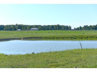 Farmland in Jay County, Indiana - REAL ESTATE AUCTION - 447+/- ACRES OFFERED IN 12 TRACTS & COMBINATIONS IN JAY COUNTY, INDIANA