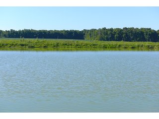 Farmland in Jay County, Indiana - REAL ESTATE AUCTION - 447+/- ACRES OFFERED IN 12 TRACTS & COMBINATIONS IN JAY COUNTY, INDIANA