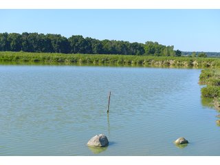 Farmland in Jay County, Indiana - REAL ESTATE AUCTION - 447+/- ACRES OFFERED IN 12 TRACTS & COMBINATIONS IN JAY COUNTY, INDIANA