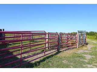 Farmland in Jay County, Indiana - REAL ESTATE AUCTION - 447+/- ACRES OFFERED IN 12 TRACTS & COMBINATIONS IN JAY COUNTY, INDIANA