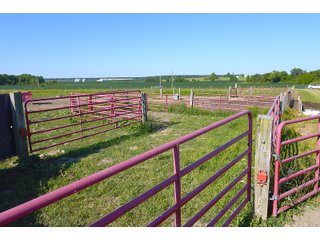 Farmland in Jay County, Indiana - REAL ESTATE AUCTION - 447+/- ACRES OFFERED IN 12 TRACTS & COMBINATIONS IN JAY COUNTY, INDIANA