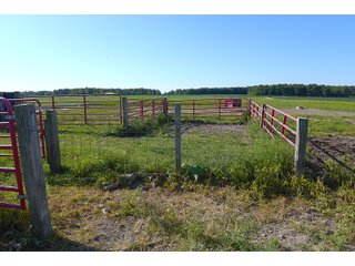 Farmland in Jay County, Indiana - REAL ESTATE AUCTION - 447+/- ACRES OFFERED IN 12 TRACTS & COMBINATIONS IN JAY COUNTY, INDIANA