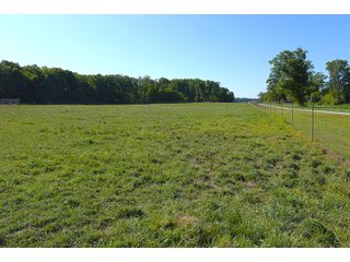 Farmland in Jay County, Indiana - REAL ESTATE AUCTION - 447+/- ACRES OFFERED IN 12 TRACTS & COMBINATIONS IN JAY COUNTY, INDIANA