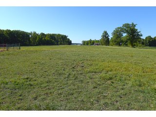 Farmland in Jay County, Indiana - REAL ESTATE AUCTION - 447+/- ACRES OFFERED IN 12 TRACTS & COMBINATIONS IN JAY COUNTY, INDIANA