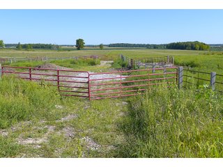Farmland in Jay County, Indiana - REAL ESTATE AUCTION - 447+/- ACRES OFFERED IN 12 TRACTS & COMBINATIONS IN JAY COUNTY, INDIANA