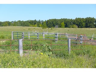 Farmland in Jay County, Indiana - REAL ESTATE AUCTION - 447+/- ACRES OFFERED IN 12 TRACTS & COMBINATIONS IN JAY COUNTY, INDIANA